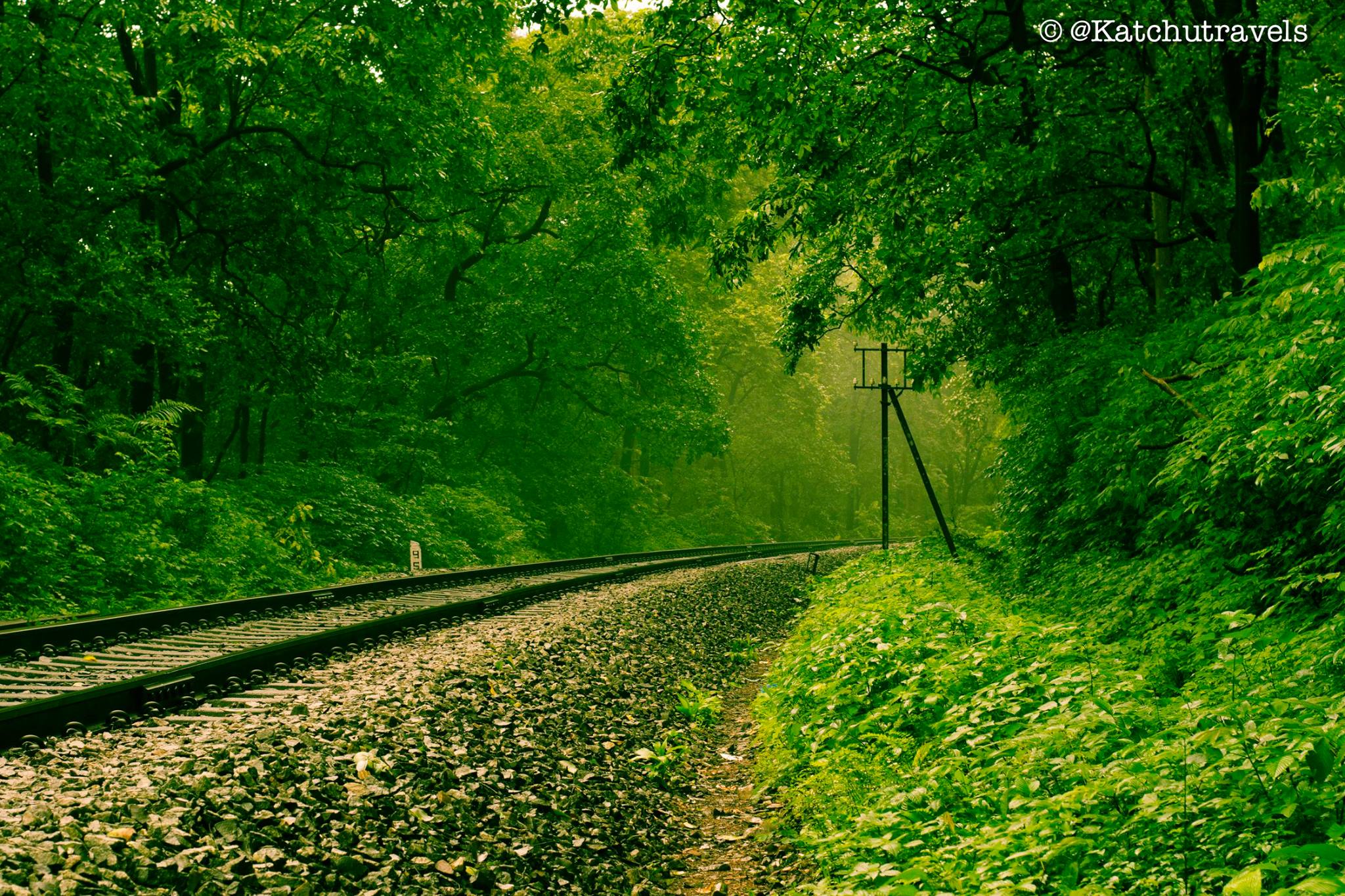 Railways crossing through verdant scenery in Goa(Kulem)