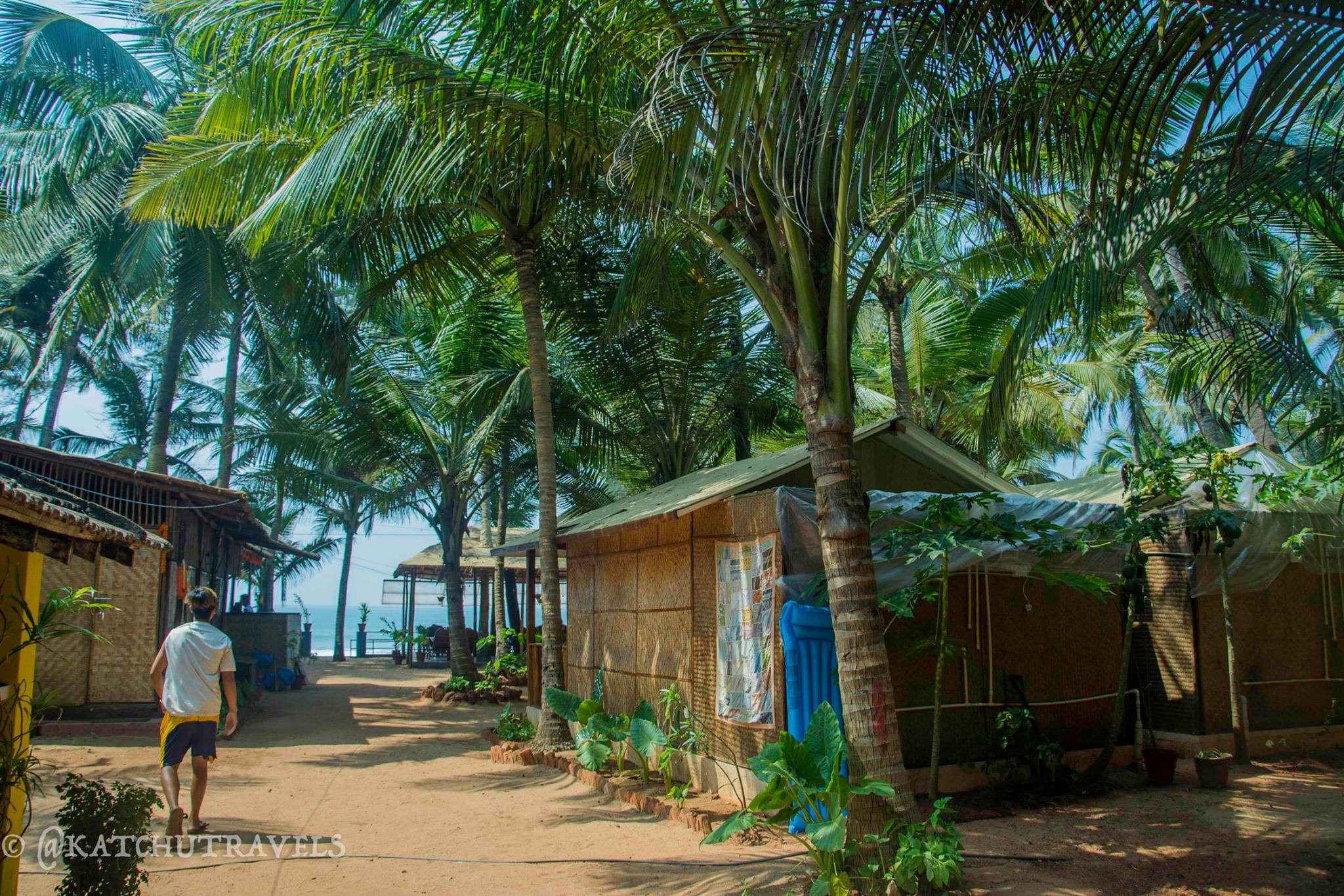 Palm Tree Garden Beach Hut at Jardim-A-Mar