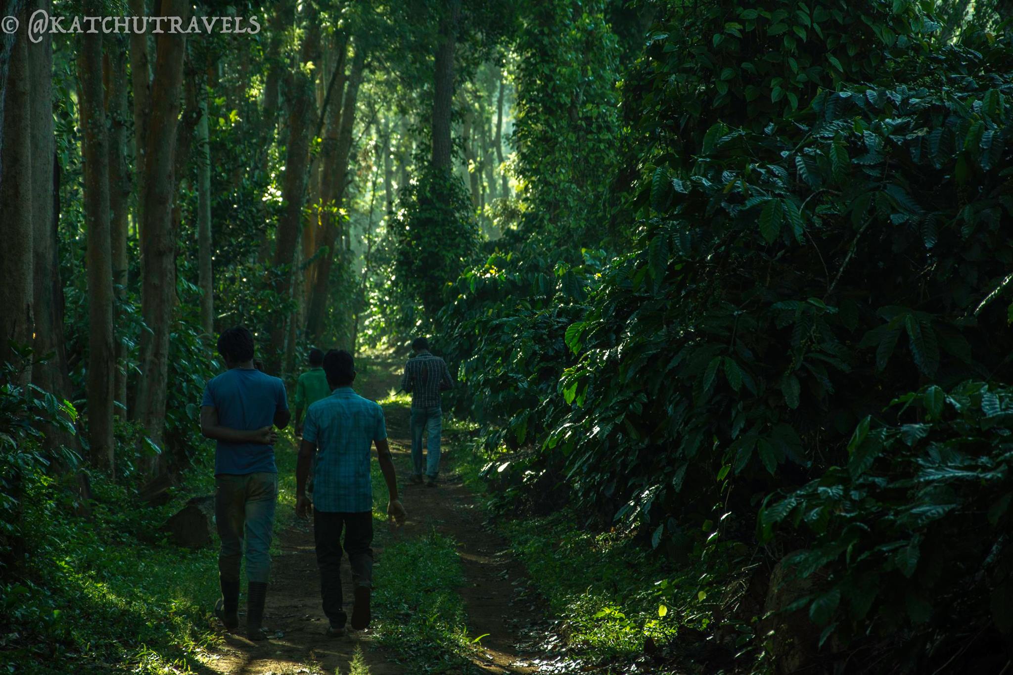 Workers walking through Coorg's Jagale HomeStay