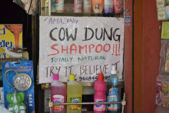 Cow-Dung Shampoo in Gokarna(Karnataka-India)