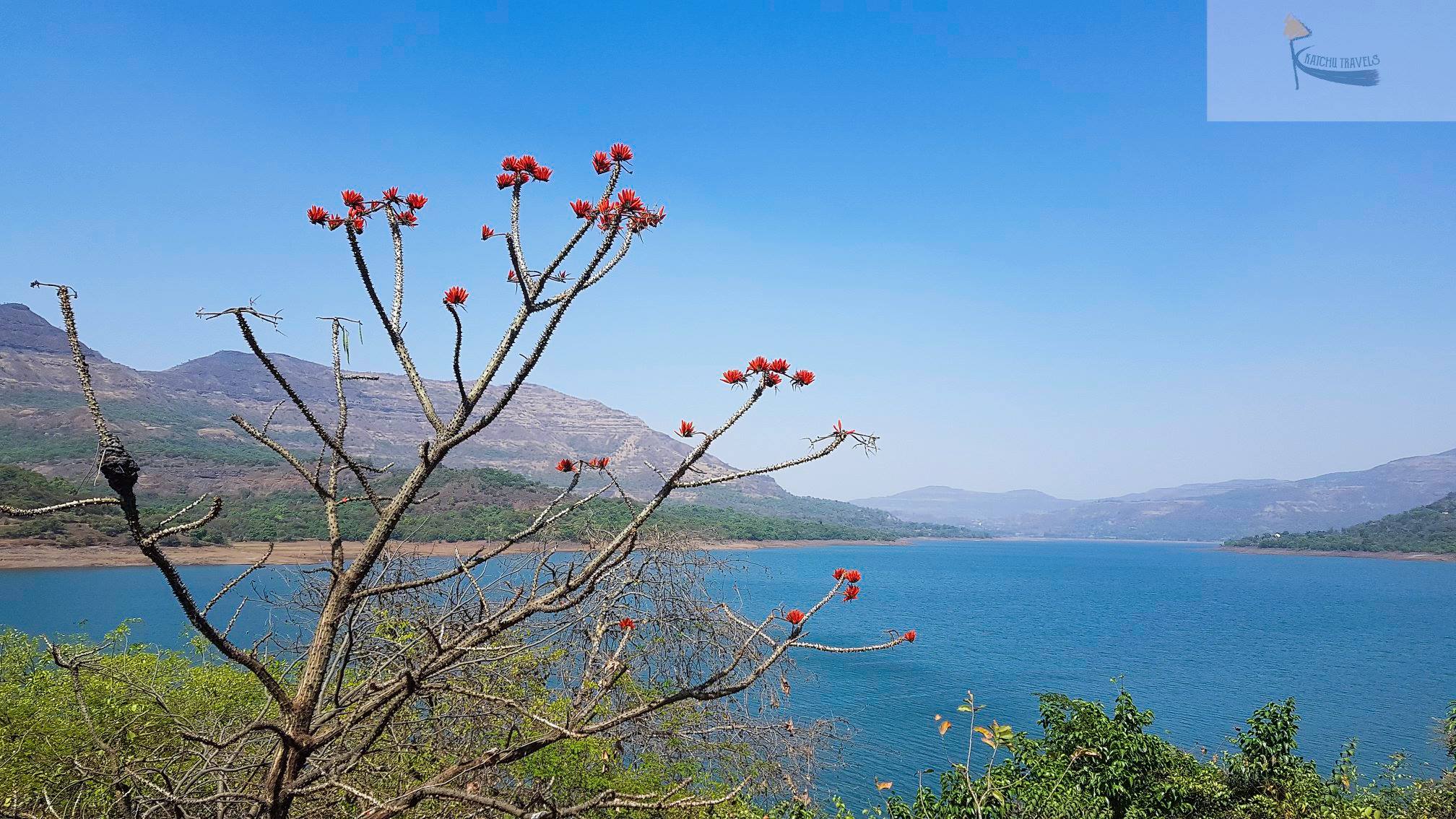 The Mulshi Lake near Tamhini Ghat-Maharashtra