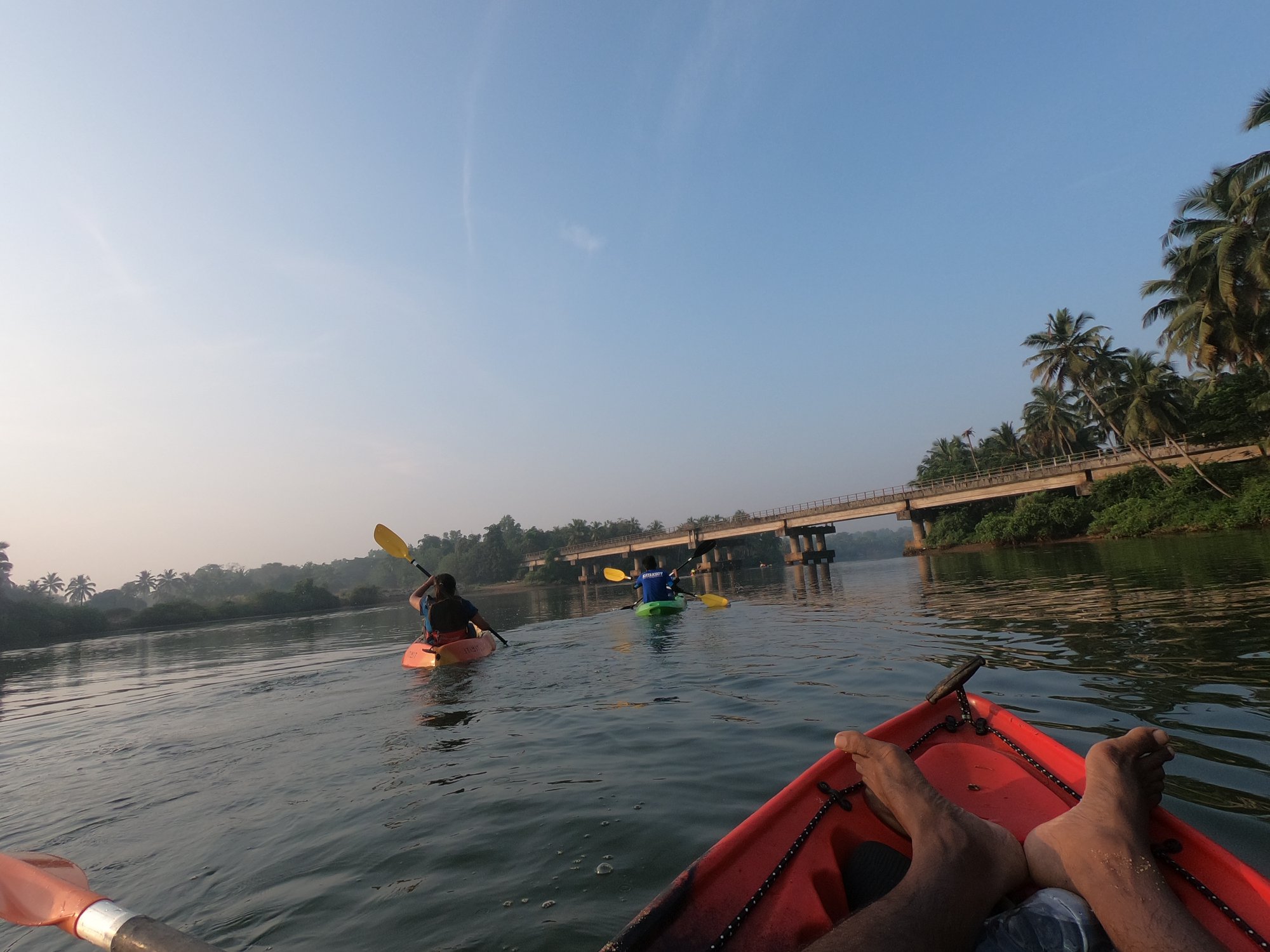 Each Other for Company, Kayaking as a group on the Shambhavi River in Mulki-Karnataka's Konkan Coast