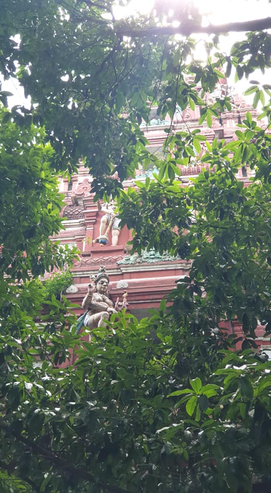 Trees inside the Kadu Malleswara Temple in Malleswaram