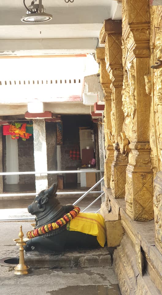 The Nandi Statue, at the Dakshinamukha Nandi Tirtha Kalyani Kshetra temple in Malleswaram